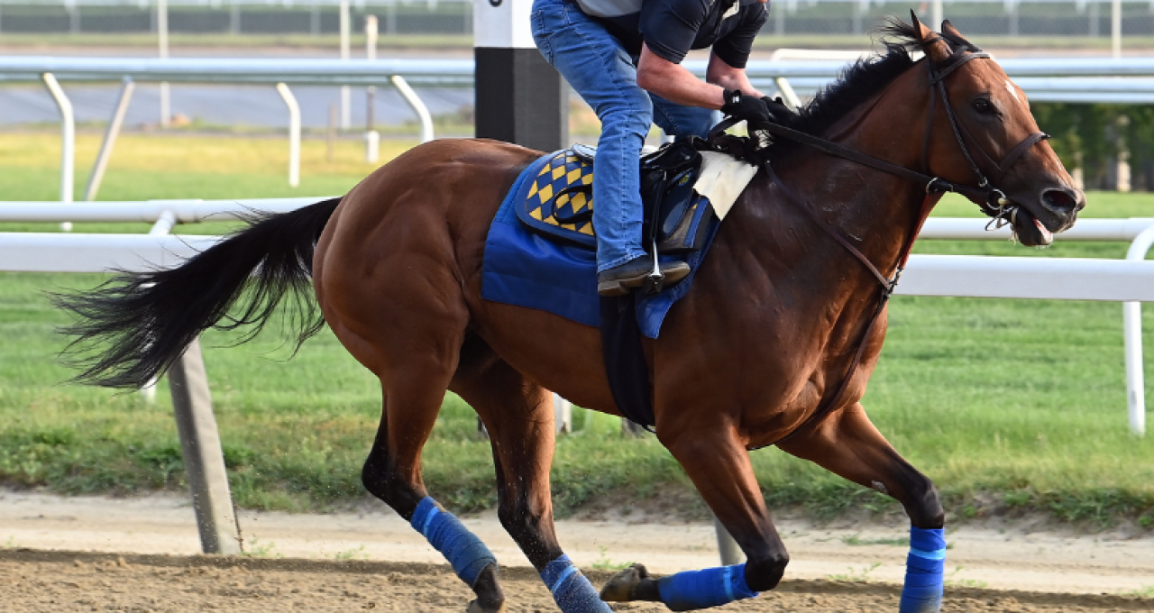 G1 Preakness winner National Treasure records final breeze for G1